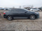 HYUNDAI SONATA SPORT 2.0T 5NPE34AB0FH087866 photo