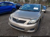 TOYOTA COROLLA LE 1NXBU4EE2AZ182041 снимка