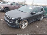 JEEP CHEROKEE LIMITED 1C4PJLDS0EW262159 снимка