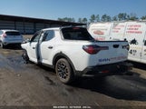HYUNDAI SANTA CRUZ SEL 5NTJBDAE9PH055769 fotografie