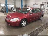 HONDA ACCORD 2.4 EX 1HGCM56875A186599 photo