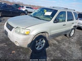 FORD ESCAPE XLT 1FMYU031X5KA06892 снимка