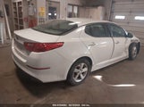 KIA OPTIMA LX KNAGM4A71F5556977 photo