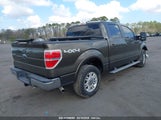 FORD F-150 FX4/KING RANCH/LARIAT/PLATINUM/XL/XLT 1FTPW14V89FA94258 снимка