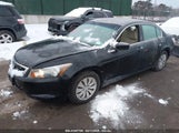 HONDA ACCORD 2.4 LX 1HGCP2F31AA176817 снимка