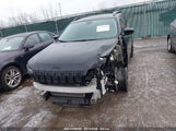 JEEP CHEROKEE ALTITUDE 4X4 1C4PJMLB4LD584254 снимка