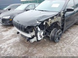 JEEP CHEROKEE ALTITUDE 4X4 1C4PJMLB4LD584254 снимка