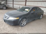 ACURA TL 19UUA66245A030339 снимка