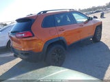 JEEP CHEROKEE 1C4PJMBS4EW254879 fotografie