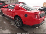 FORD MUSTANG V6 PREMIUM 1ZVBP8AM8B5138599 снимка