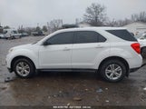 CHEVROLET EQUINOX LS 2GNALAEK6E6166301 снимка