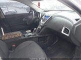 CHEVROLET EQUINOX LS 2GNALAEK6E6166301 снимка