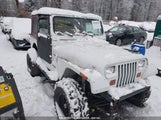 JEEP WRANGLER / YJ 1J4FY29S8PP****** снимка