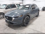 MAZDA CX-30 2.5 S CARBON EDITION 3MVDMBCM6PM514585 снимка