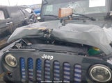 JEEP WRANGLER UNLIMITED SPORT 1J4BA3H16AL163816 снимка