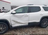 GMC ACADIA SLT-1 1GKKNMLS6JZ249371 снимка
