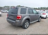 FORD ESCAPE XLT 1FMCU0D78BKA31492 снимка