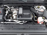 GMC SIERRA 1500 3GTU9DET9LG209657 снимка