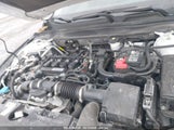 HONDA ACCORD LX 1HGCV1F14KA102856 снимка