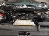 FORD F-150 XL 1FTEW1EP9MFC65289 снимка
