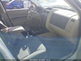FORD ESCAPE XLS/XLS MANUAL 1FMCU02Z98KC97536 снимка