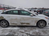 HYUNDAI SONATA SPORT 2.0T 5NPE34AB2HH516900 fotografie