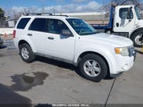 FORD ESCAPE XLT 1FMCU0DG2AKA30448 снимка