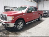 FORD F-150 XLT 1FTFW1ET5BFC65580 снимка