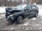 HYUNDAI TUCSON HYBRID BLUE KM8JBCA19NU042024 photo