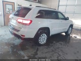 JEEP GRAND CHEROKEE LAREDO 1C4RJFAG4GC395831 fotografie