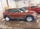 CHEVROLET TRAILBLAZER FWD LS KL79MMS25MB151280 fotografie