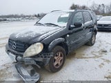 MERCEDES-BENZ ML 320 4JGAB54E21A252034 снимка