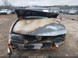 NISSAN MAXIMA GLE/GXE/SE JN1CA21D3ST088070 снимка