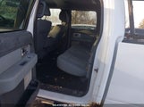 FORD F-150 XLT 1FTFW1EF3BFB93255 снимка