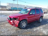 FORD ESCAPE LIMITED 1FMYU04185KA45589 снимка