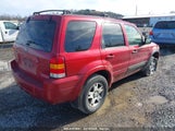 FORD ESCAPE LIMITED 1FMYU04185KA45589 снимка