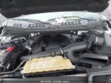 FORD F-150 XLT 1FTEW1E40KFB19446 снимка