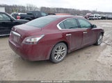 NISSAN MAXIMA 3.5 S 1N4AA5AP2CC828781 снимка