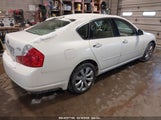 INFINITI M35X JNKAY01FX7M460249 снимка