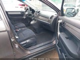 HONDA CR-V SE 5J6RE4H41BL069556 снимка