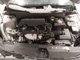 HYUNDAI ELANTRA SEL 5NPLS4AG3PH096567 снимка