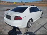 ACURA TL 19UUA66266A007212 снимка