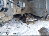 KIA SORENTO 2.0T EX 5XYPHDA17GG020319 снимка