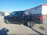 FORD F-150 XLT 1FTEW1E86FFC00959 снимка