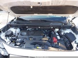 TOYOTA RAV4 XLE 2T3W1RFV4LC069919 снимка