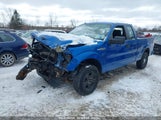 FORD F-150 STX 1FTFX1EFXEKG30547 снимка