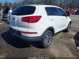 KIA SPORTAGE LX KNDPB3AC3G7880972 снимка