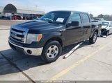 FORD F-150 XLT 1FTEW1CM8DFB46108 снимка