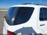 MERCEDES-BENZ ML 320 4JGAB54E9YA165824 снимка
