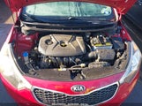 KIA FORTE EX KNAFX4A82E5088395 снимка
